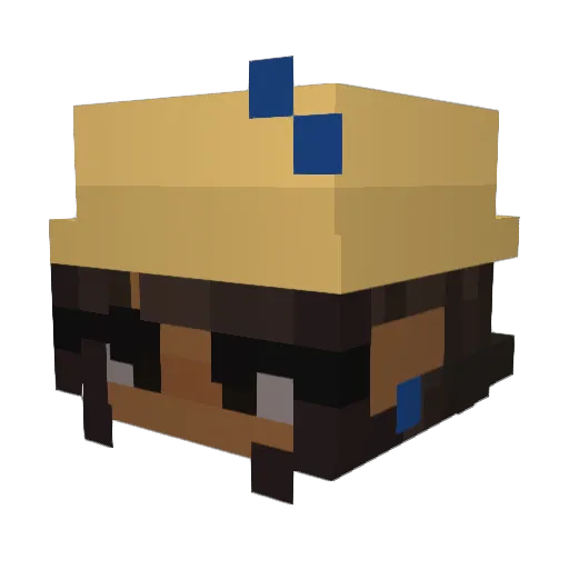 tomitomitomitom1 Minecraft avatar head, 3D render