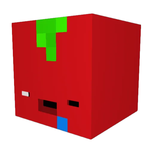 tomixx123 Minecraft avatar head, 3D render
