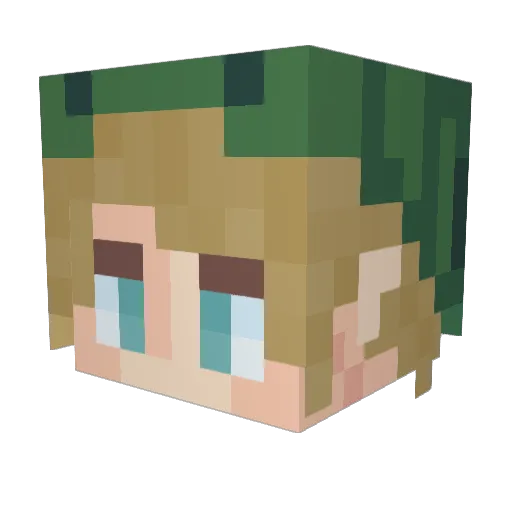 tomjack55 Minecraft avatar head, 3D render