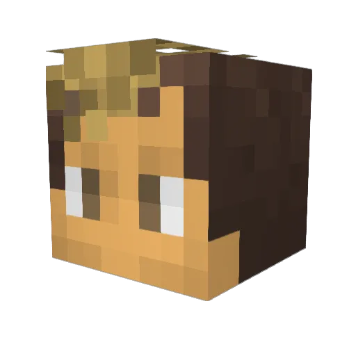 tomjdj Minecraft avatar head, 3D render