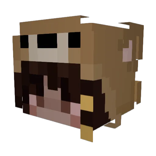 tomjenk12 Minecraft avatar head, 3D render