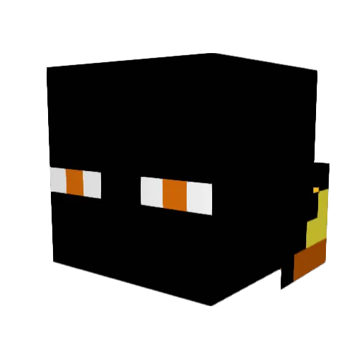 tomjp2000 Minecraft avatar head, 3D render