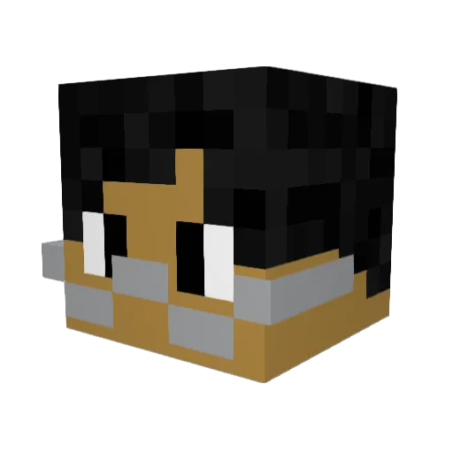 tomloves Minecraft avatar head, 3D render
