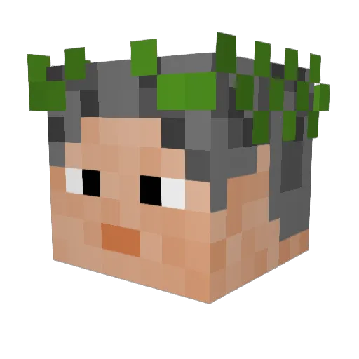 tommoa Minecraft avatar head, 3D render