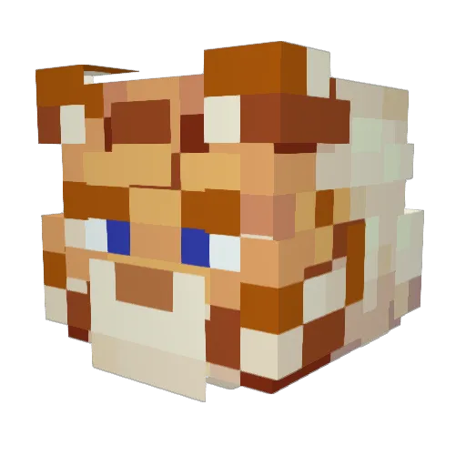 tommorerow Minecraft avatar head, 3D render