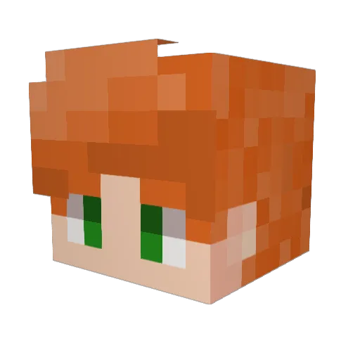 tommy411 Minecraft avatar head, 3D render