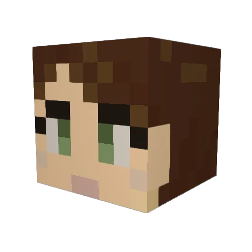 tommy5200 Minecraft avatar head, 3D render