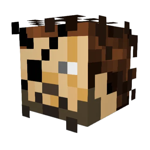 tommyVoldemort Minecraft avatar head, 3D render