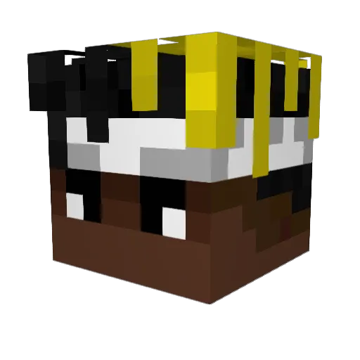 tommyinit43 Minecraft avatar head, 3D render