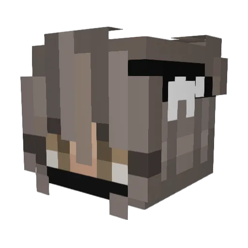 tommyjkafka Minecraft avatar head, 3D render