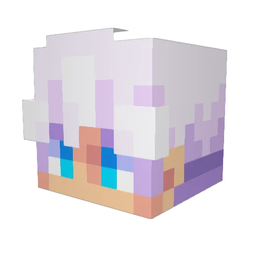 tommynabo69 Minecraft avatar head, 3D render