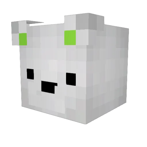 tommynator2007 Minecraft avatar head, 3D render