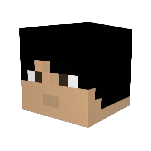 tommytomtom2001 Minecraft avatar head, 3D render