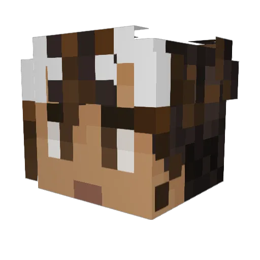 tommyyteekot Minecraft avatar head, 3D render