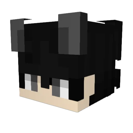 tomo3041029 Minecraft avatar head, 3D render