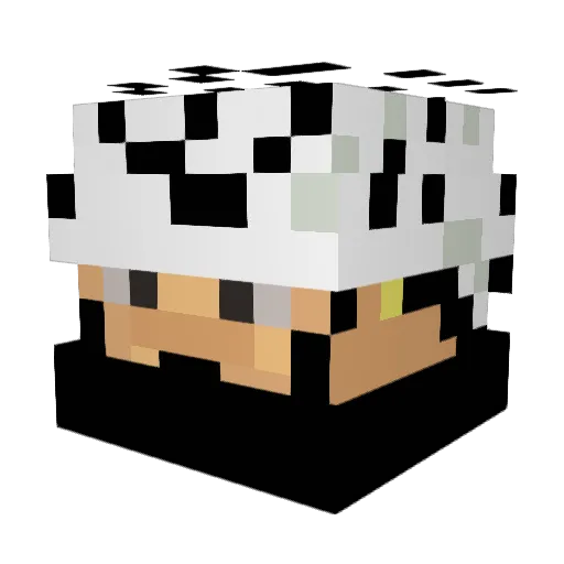 tomokun0702 Minecraft avatar head, 3D render