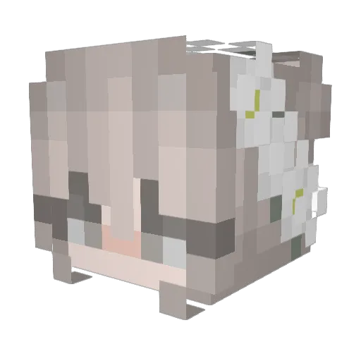 tomomon3 Minecraft avatar head, 3D render