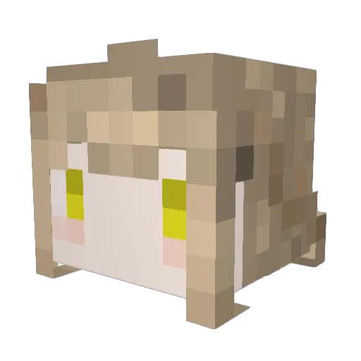 tomonon Minecraft avatar head, 3D render