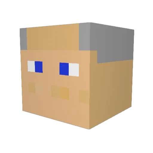 tomosudz Minecraft avatar head, 3D render