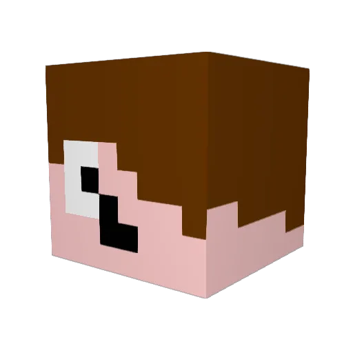 tomottim9 Minecraft avatar head, 3D render
