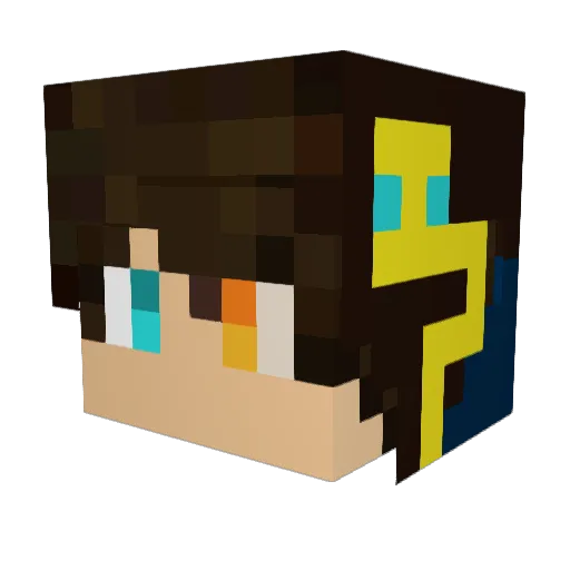 tomplayer_ Minecraft avatar head, 3D render