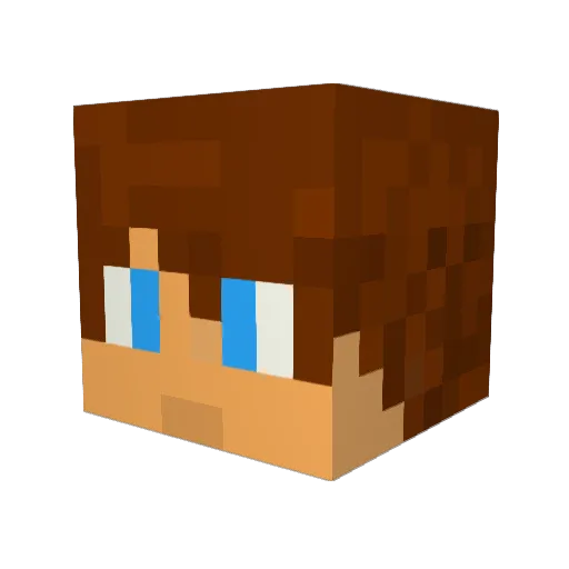 tompro15 Minecraft avatar head, 3D render