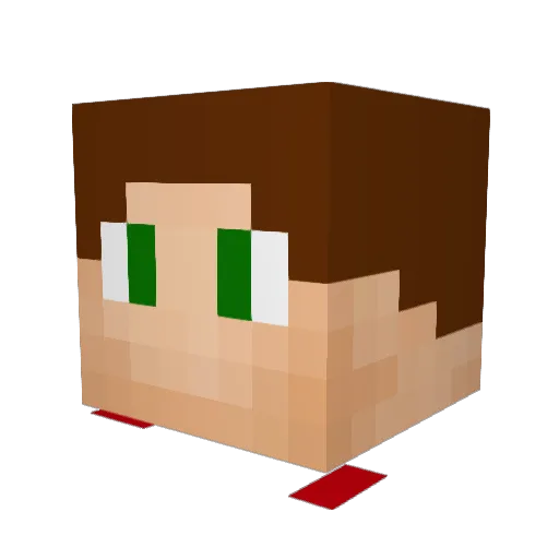 tomraiderz Minecraft avatar head, 3D render