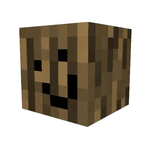 tomrexer Minecraft avatar head, 3D render