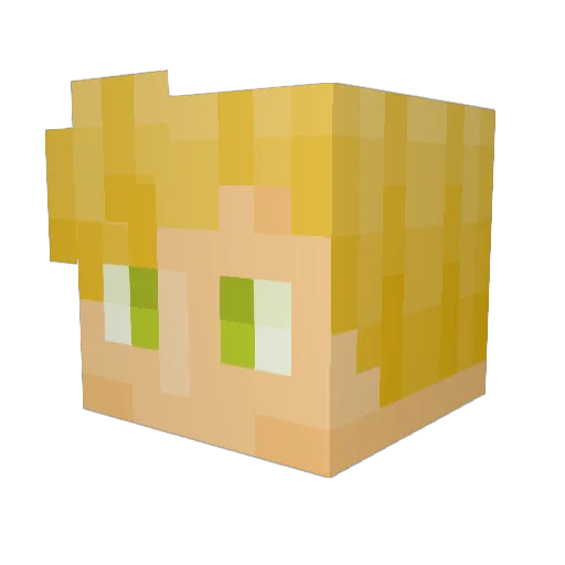 toms2008tt Minecraft avatar head, 3D render