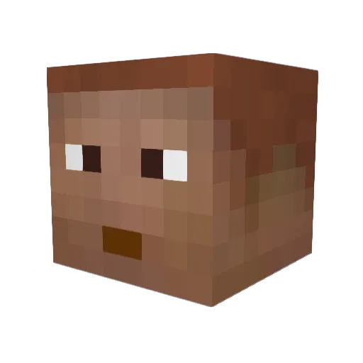 tomster999 Minecraft avatar head, 3D render