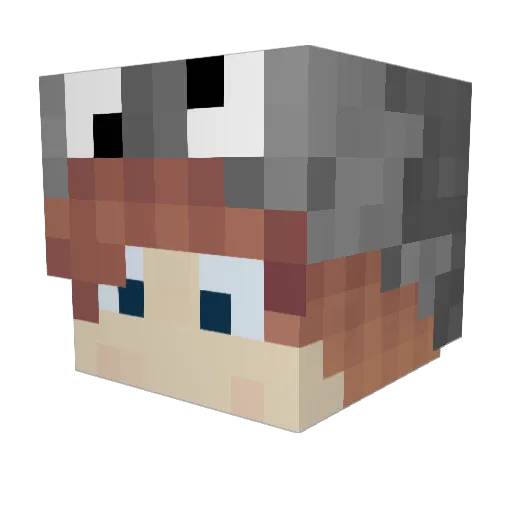 tomtitus Minecraft avatar head, 3D render