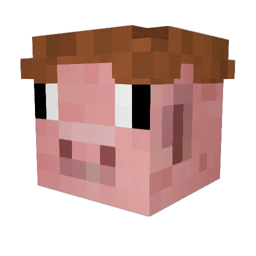 tomtom103 Minecraft avatar head, 3D render