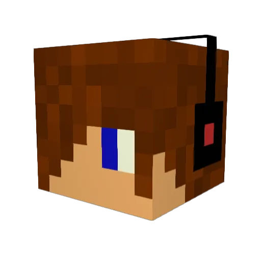 tomtom123bg Minecraft avatar head, 3D render