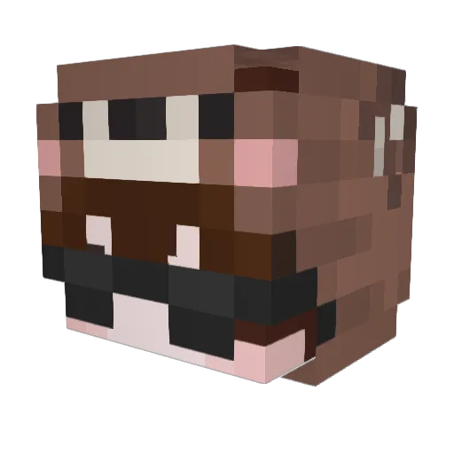 tomx Minecraft avatar head, 3D render