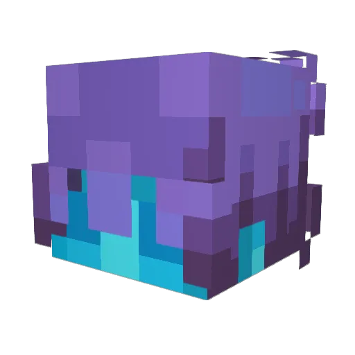 tomxd123_321 Minecraft avatar head, 3D render