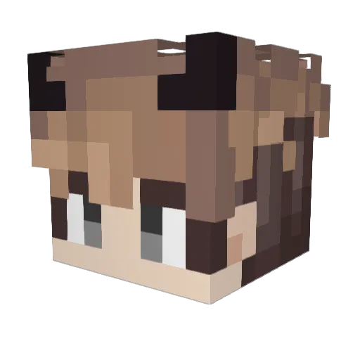 tomxyboy Minecraft avatar head, 3D render