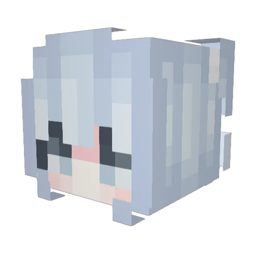 tomyhell Minecraft avatar head, 3D render