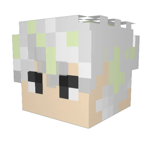 tomzou04 Minecraft avatar head, 3D render