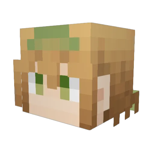 tonaminato Minecraft avatar head, 3D render
