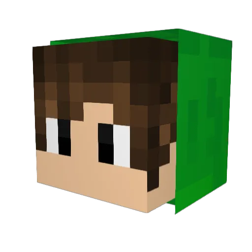 tonbo_ Minecraft avatar head, 3D render