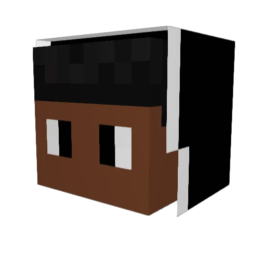 tondo_ Minecraft avatar head, 3D render