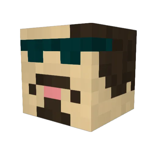 tondog12 Minecraft avatar head, 3D render