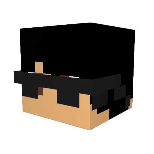 tonester99 Minecraft avatar head, 3D render
