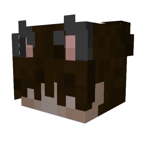 tongloo Minecraft avatar head, 3D render