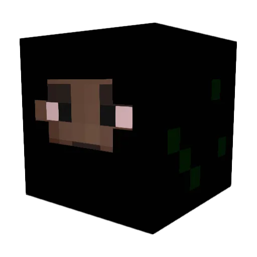 toniboy6969 Minecraft avatar head, 3D render
