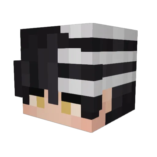 tonithPlays Minecraft avatar head, 3D render