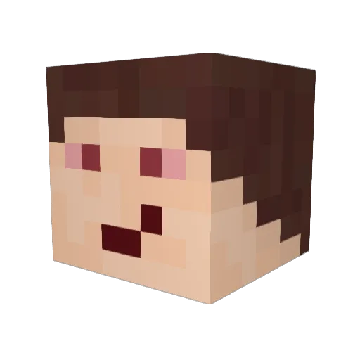 toniweise99 Minecraft avatar head, 3D render
