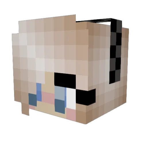 tonness Minecraft avatar head, 3D render