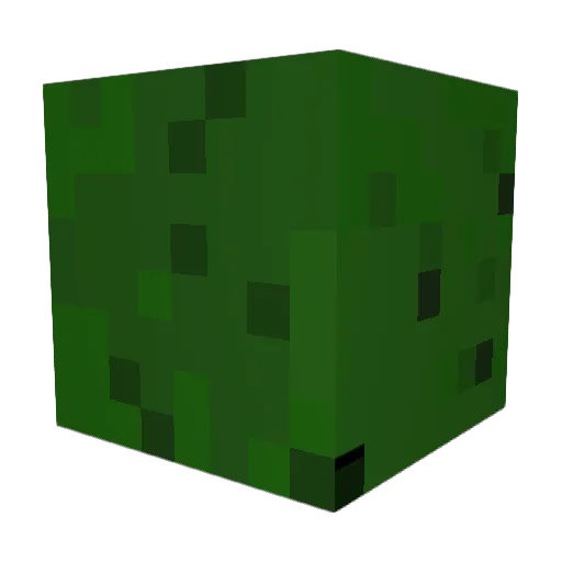 tonoggle Minecraft avatar head, 3D render