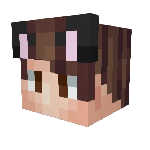 tonsocats Minecraft avatar head, 3D render